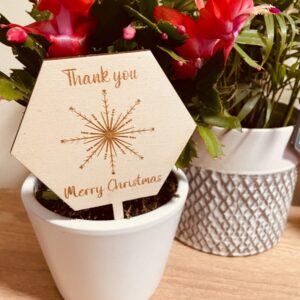 Personalised Christmas Plant Stake