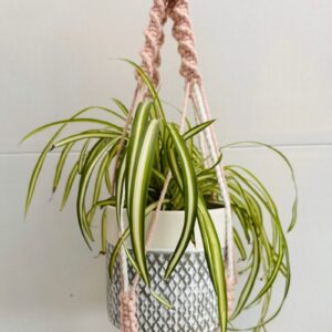 DIY macramé plant hanger kit with multiple design options for beginners